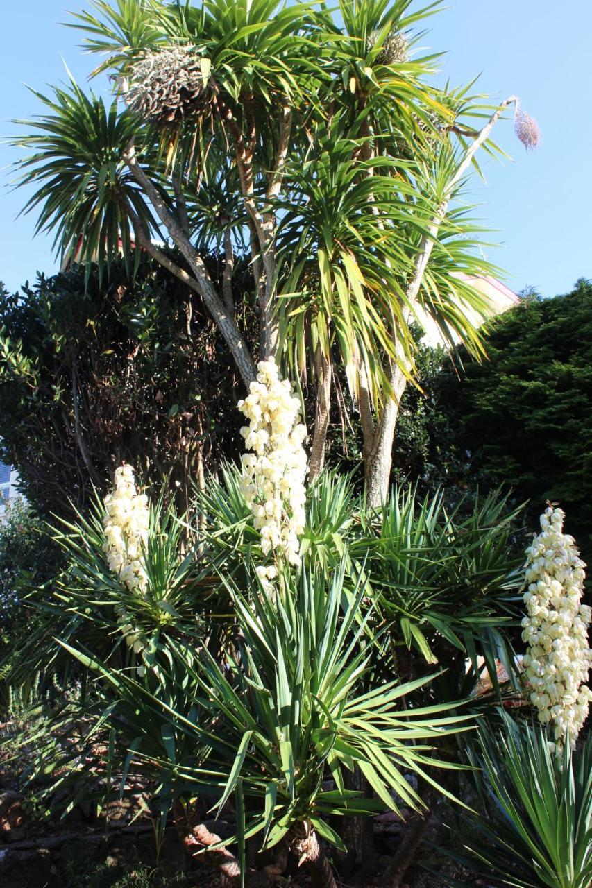 Trafalgar House Torquay Zewnętrze zdjęcie